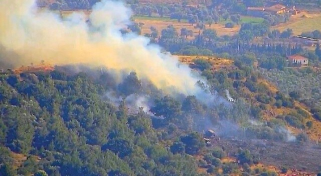 İzmir&#039;de çıkan orman yangını kontrol altına alındı