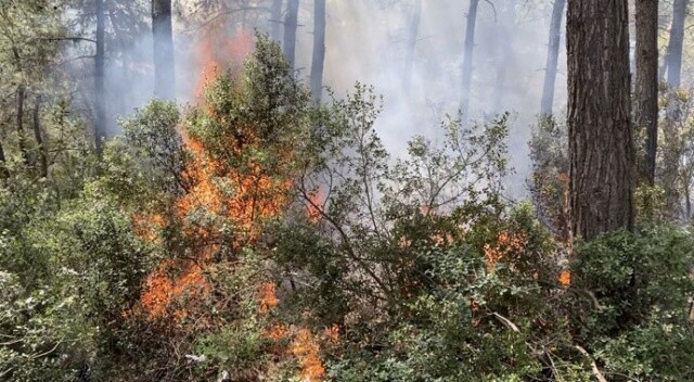 Sarıyer’de 500 metrekarelik alan alev alev yandı