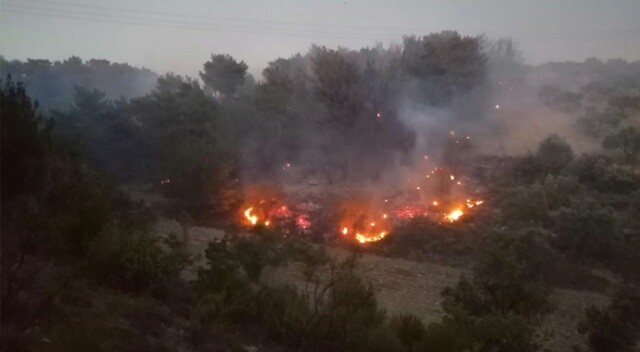 Soma&#039;da orman yangını: 1 uçak, 5 helikopter havadan müdahale ediyor