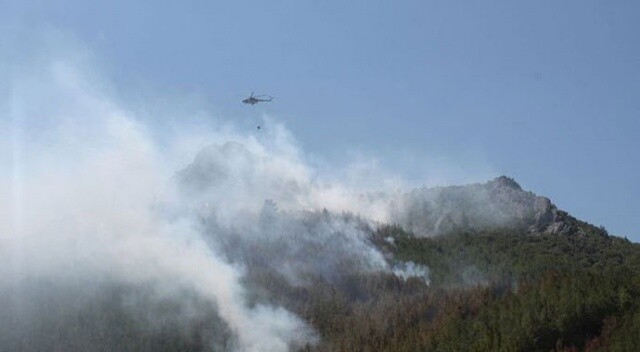 Yıldırım düştü, 3 hektarlık ormanlık alan yandı