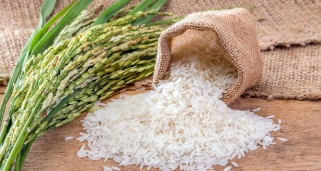 &#039;Pirinç, kontrollü bir şekilde tüketildiğinde, sağlıklı ve besleyici bir besindir&#039;