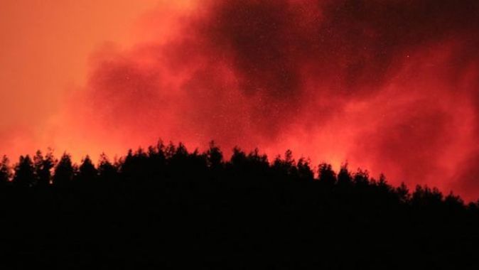 Adana&#039;daki orman yangınına müdahale sürüyor