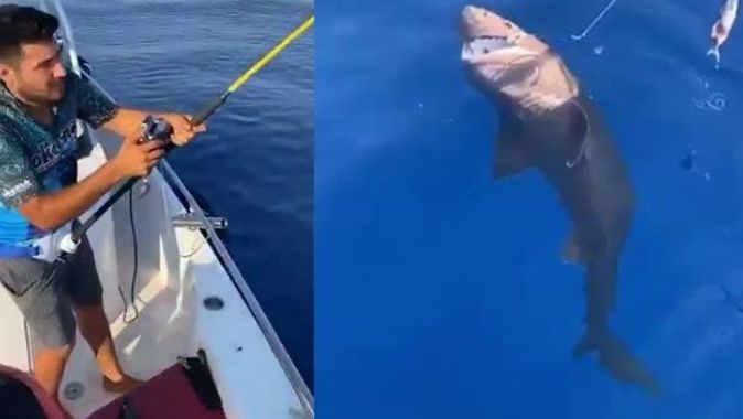 Amatör balıkçıların oltasına köpek balığı takıldı