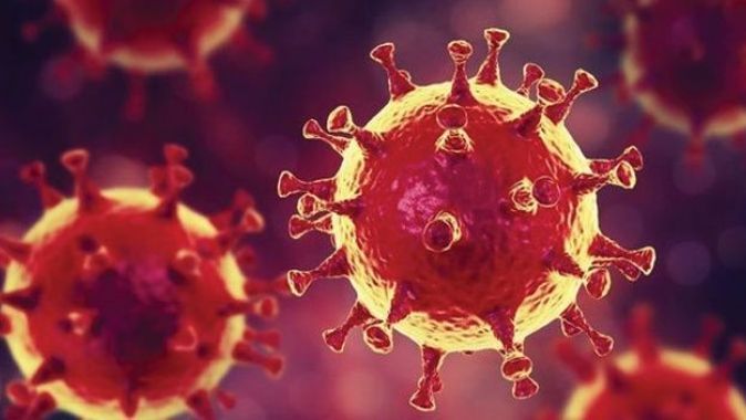 Azerbaycan&#039;da son 24 saatte 241 koronavirüs vakası tespit edildi