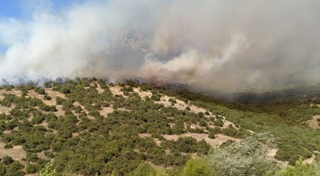 Balıkesir&#039;de orman yangını çıktı!