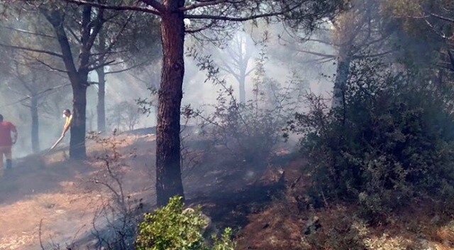 Balıkesir-Susurluk arasında çıkan orman yangını korkuttu