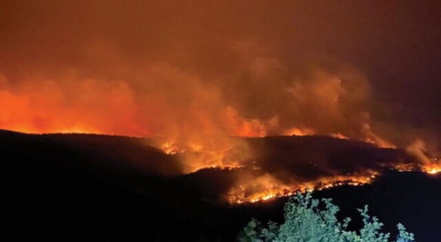 Bulgaristan&#039;daki orman yangını Türkiye sınırına ulaştı