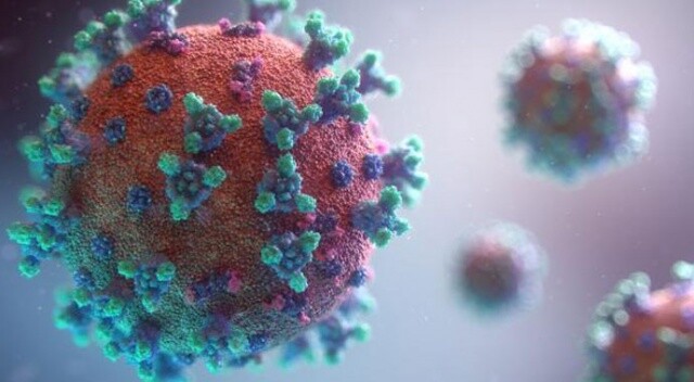 Dünya genelinde yeni tip koronavirüs vaka sayısı 21 milyonu aştı