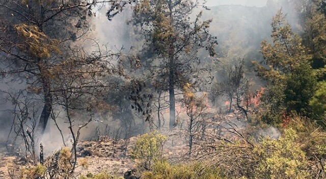 Fethiye’de çıkan orman yangını söndürüldü
