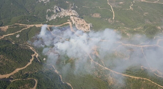 İzmir&#039;de orman yangını! Dumanlar kilometrelerce uzaktan görülüyor