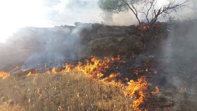 Kahramanmaraş’ta orman yangını 7 hektar alan zarar gördü