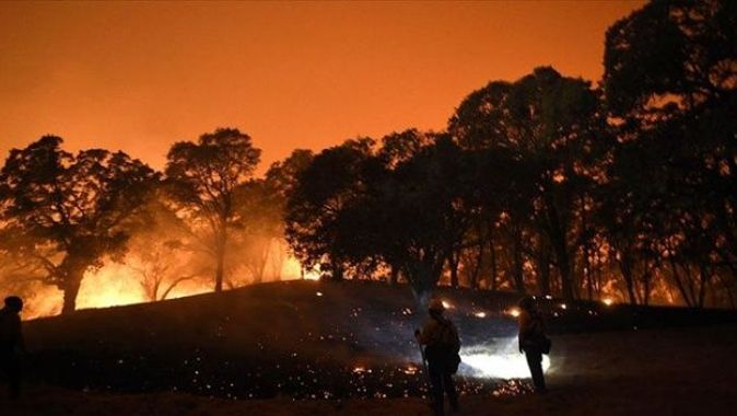 Kaliforniya&#039;da devam eden yangınlarda 7 kişi hayatını kaybetti