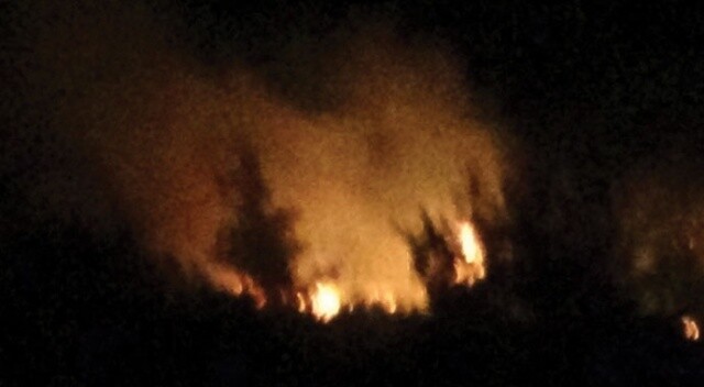 Kozan’da 3 ayrı noktada orman yangını