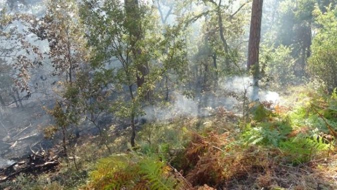 Ormanda çıkan yangın kontrol altına alınmaya çalışılıyor