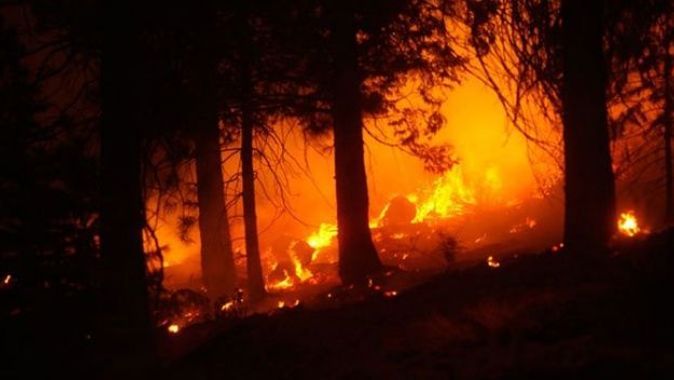 ABD&#039;nin batı yakasındaki orman yangınlarında 34 kişi hayatını kaybetti