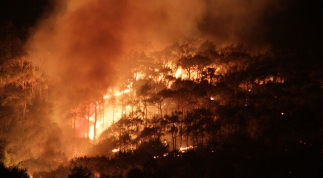 Ayvalık&#039;taki orman yangını kontrol altına alındı