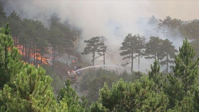 Denizli&#039;de orman yangını