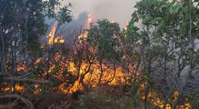 Elazığ&#039;da orman yangını: Çok sayıda ekip sevk edildi