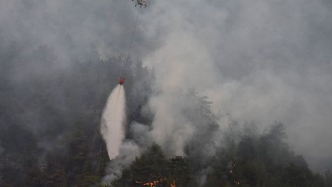 Eskişehir&#039;de korkutan orman yangını