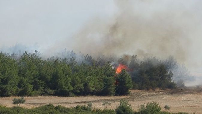 Gelibolu’daki orman yangını devam ediyor