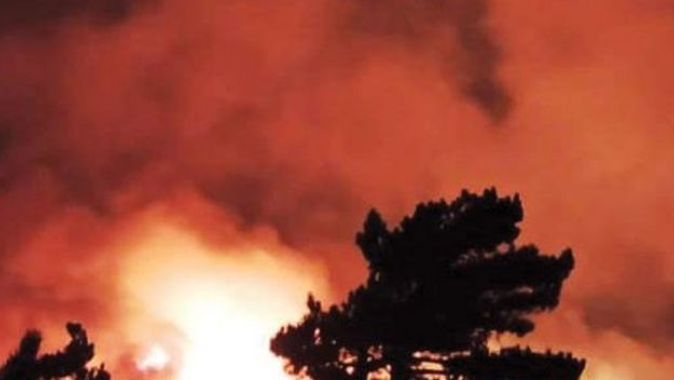 İzmir&#039;de başlayan yangın Balıkesir&#039;e dayandı