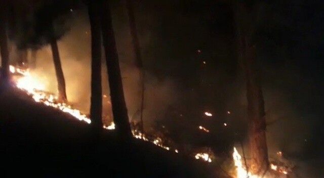 İzmir&#039;deki orman yangını sürüyor