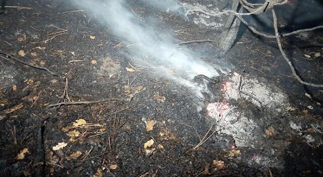 Karabük&#039;te çıkan orman yangını söndürüldü
