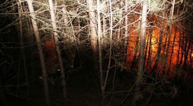 Kastamonu&#039;da orman yangını: Köye 150 metre kala söndürüldü