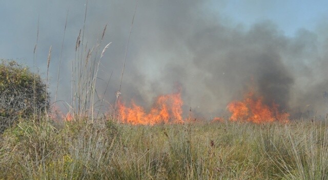Kızılırmak Deltası&#039;nda yangın devam ediyor