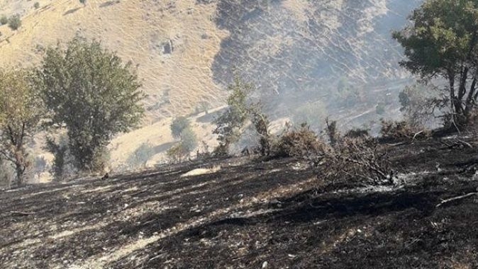 Şırnak&#039;ta ağaçlık alanda yangın: Yüzlerce dönüm alan kül oldu