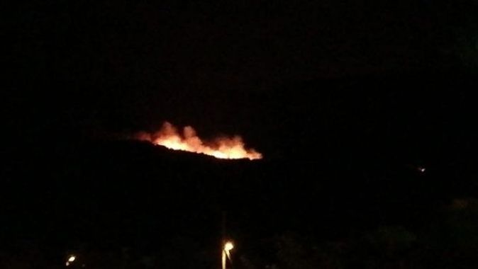 Soma&#039;da ormanlık alanda yangın
