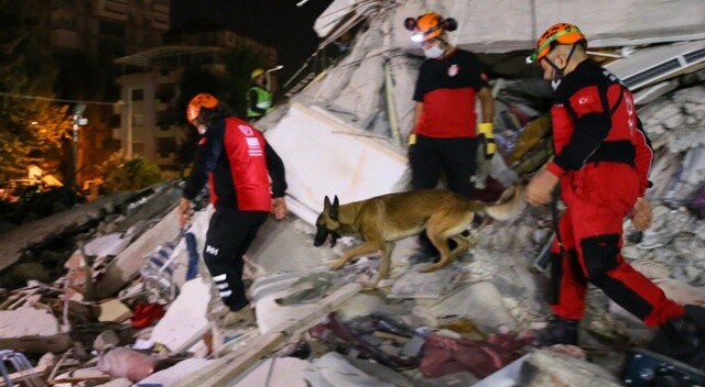 Arama kurtarma ekiplerinin sağ kolu: Hayat kurtaran köpekler