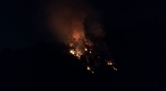 Aydos Ormanı&#039;nda sabaha karşı yangın