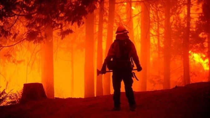 California&#039;daki orman yangınlarında bu yıl rekor düzeyde alan yandı
