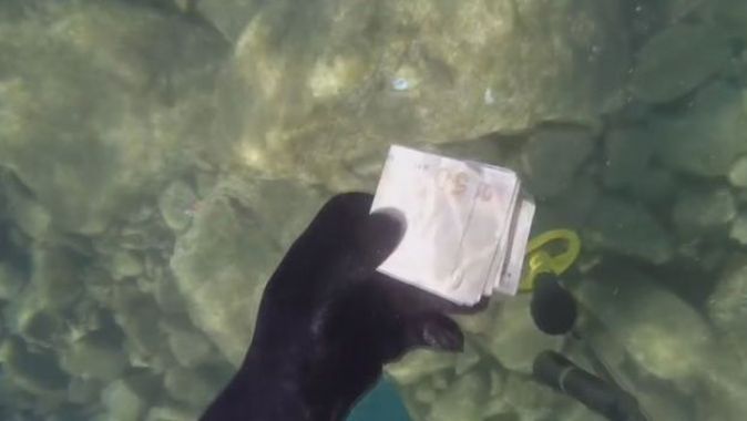Denizde bulduğu para dolu çantayı sahibine gönderdi