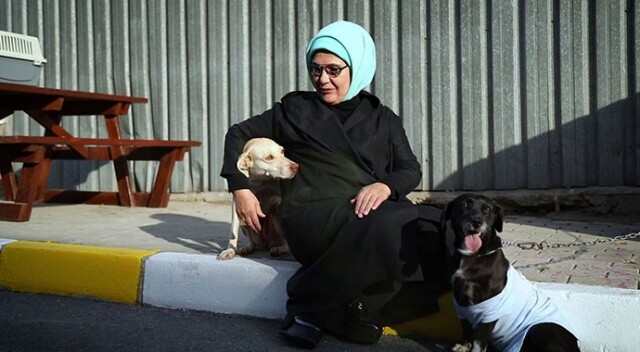 Emine Erdoğan, barınaktaki &#039;Leblebi&#039; isimli engelli köpeği sahiplendi