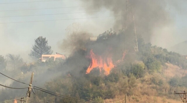 Hatay&#039;daki orman yangını yerleşim yerlerine sıçradı