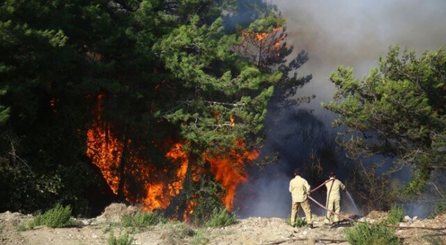 Hatay&#039;daki orman yangınıyla ilgili 2 kişi tutuklandı