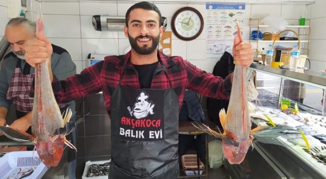 Karadeniz&#039;de nadir bulunuyor! 5 kiloluk balık 500 liradan satışa çıktı
