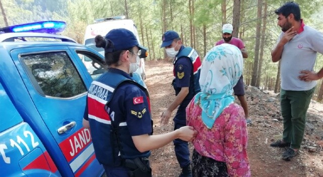 Kayıp kadın 10 gün sonra ormanda sağ olarak bulundu