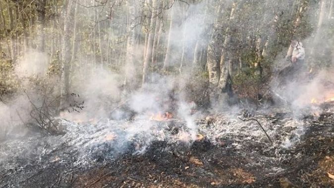 Orman yangınına müdahale etmek istedi, yanarak hayatını kaybetti
