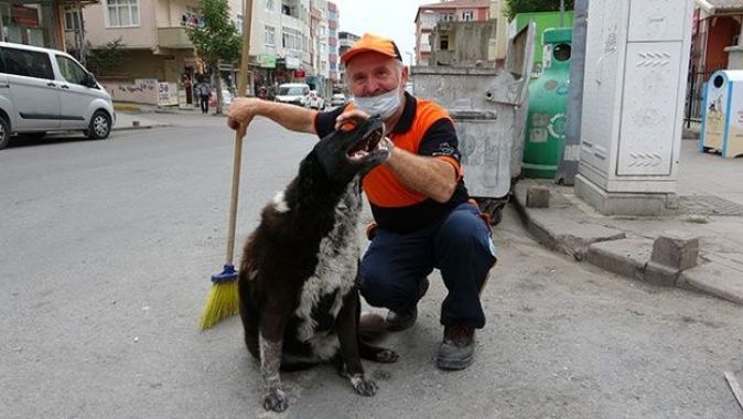 Temizlik işçisiyle sokak köpeğinin iç ısıtan görüntüsü