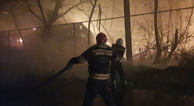 Ukrayna&#039;da 146 noktada çıkan orman yangınlarında 11 kişi hayatını kaybetti