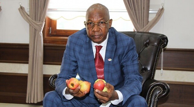 Amasya elmasına Afrika’dan talip çıktı