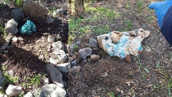 Bebek gömüldüğü sanılan mezarlıktan, köpek cesedi çıktı