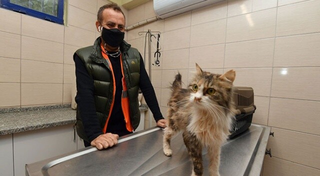 Enkazdan 90 saat sonra kurtarılan kediyi Haluk Levent sahiplendi