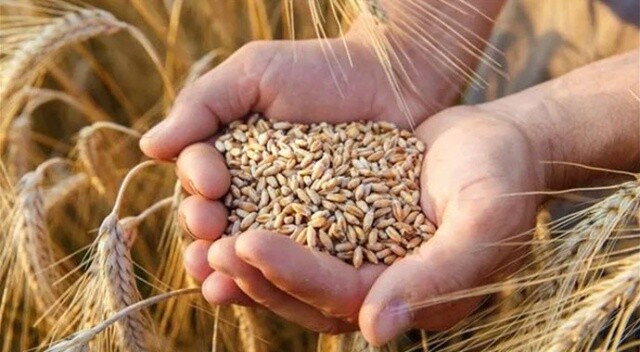 Arpa, buğday ve mısırda gümrük vergisi sıfırlandı