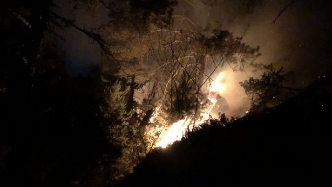 Kastamonu&#039;daki orman yangını kontrol altına alındı