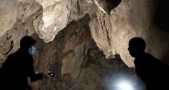 Çin, yarasa mağarasına kimseyi sokmuyor