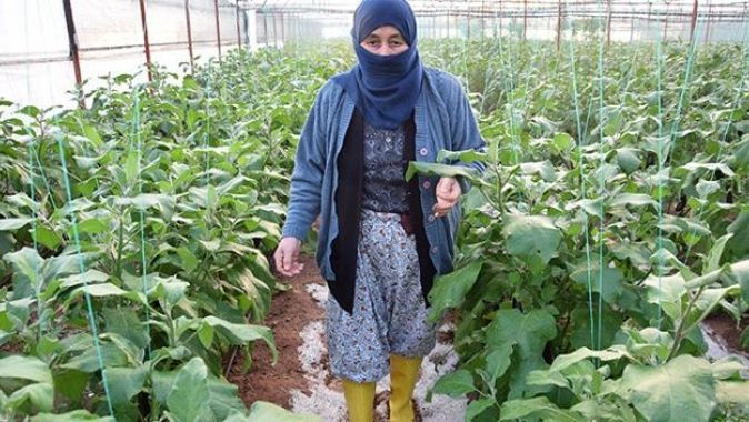 Serası zarar gören kadın çiftçinin tepkisi: Patlıcan pahalı diyenler şu halimize baksınlar